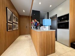 Mon Jervois (D10), Condominium #519255031